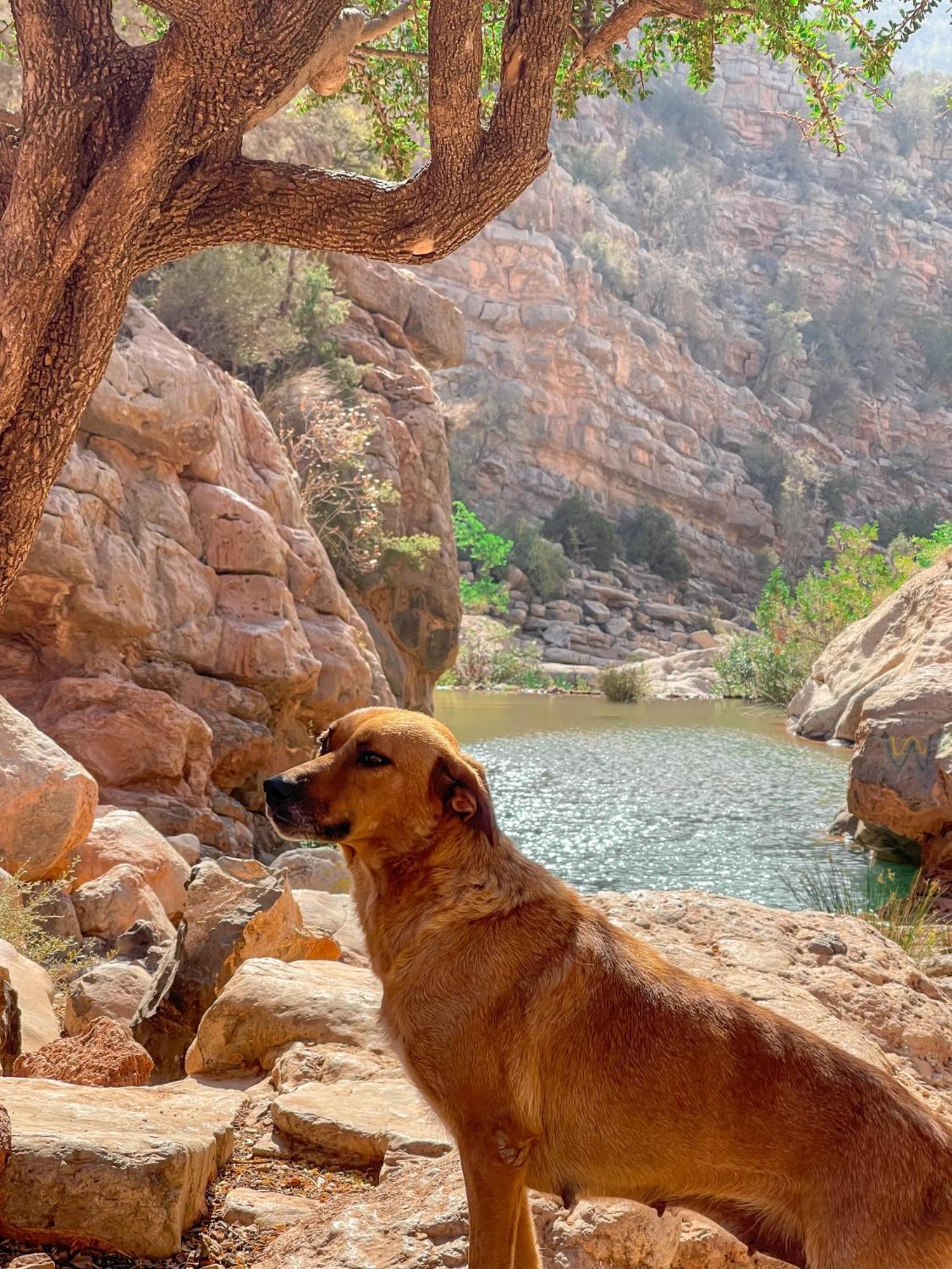 Tifrit Maison D'Hotes-Paradise Valley Imouzzer Ida Ou Tanane Kültér fotó